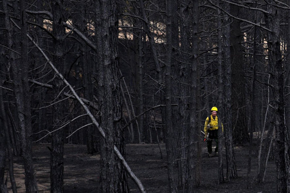 burned-forest-colorado-june-2013-e1372351982661